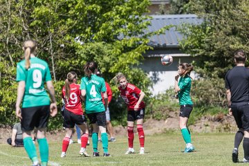 Bild 71 - F SG NieBar - IF Stjernen Flensborg : Ergebnis: 2:0
